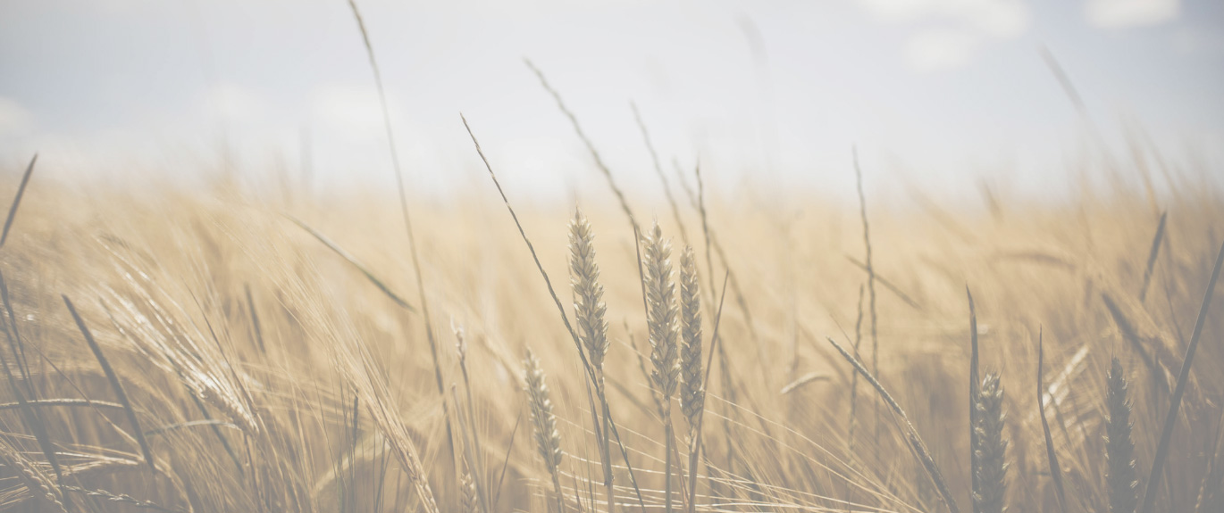 Should You Go Gluten-Free?
