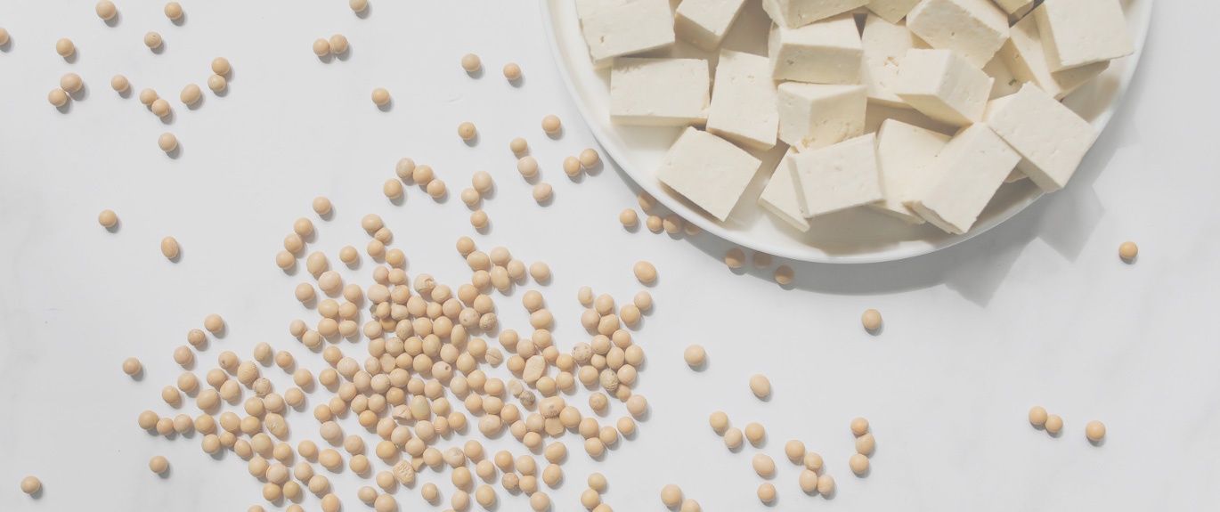 So(y) Many Reasons To Add This Plant-Based Protein In Your Diet