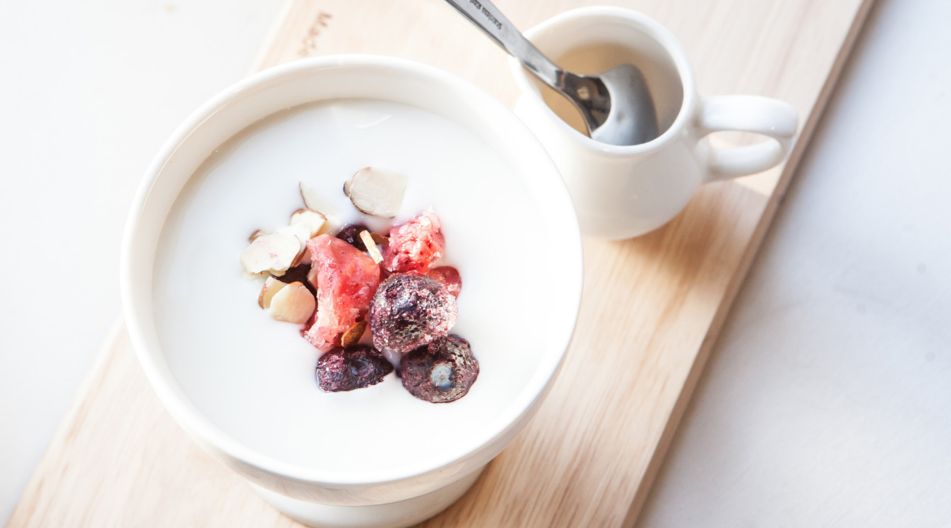 Homemade Fro-Yo