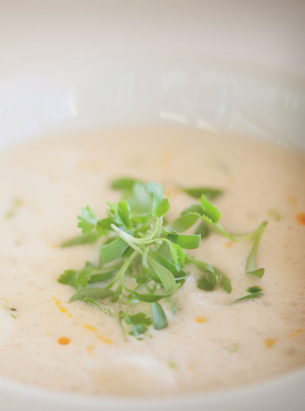 Coconut & Chicken Broth
