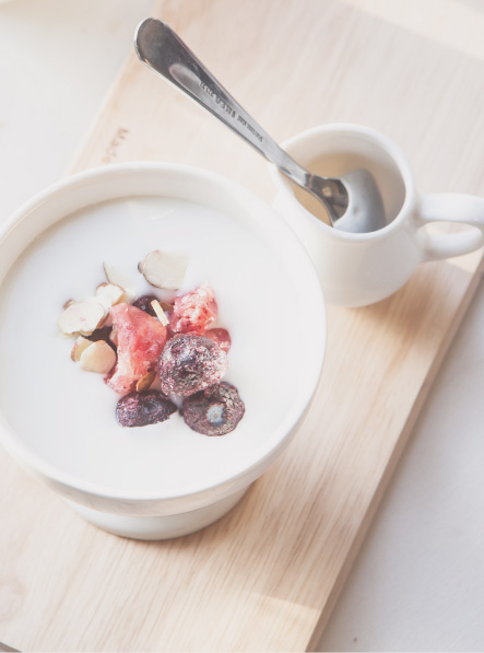 Homemade Fro-Yo