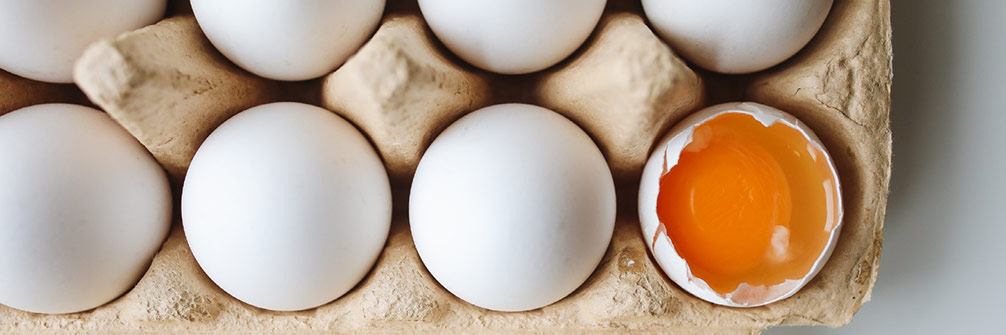 Protein Requirement